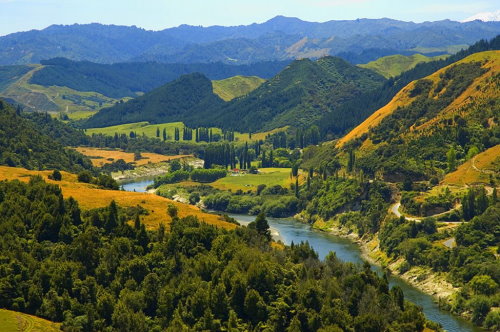 Whanganui River Road